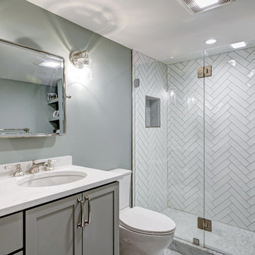Arlington Apartment Kitchen & Master Bath Renovation
