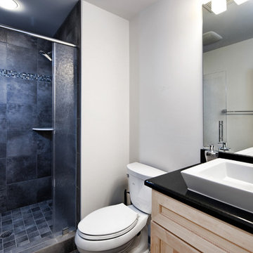Ashburn Contemporary Basement - Bathroom