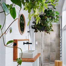 This is How Plants Can Transform Your Bathroom