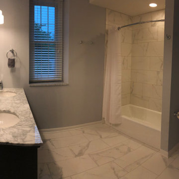 Basement and Bathroom Remodel