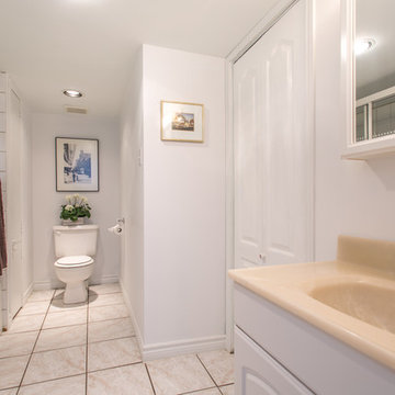 Basement Bathroom-Updated Traditional Home