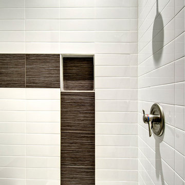 Basement Contemporary Shower