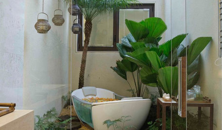 Guten Morgen, grüne Pracht: Pflanzen im Badezimmer