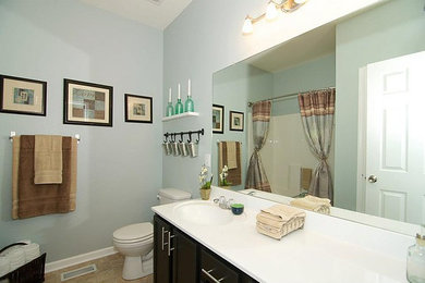 Mid-sized transitional master bathroom photo in Omaha