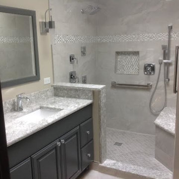 Bathroom Project in Orland Park