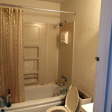 Bathroom Remodel 1