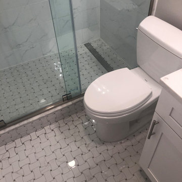 Bathroom Renovation 2800 N LSD Unit 1714