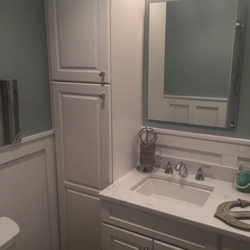 Bathroom Renovation (Double Sink Vanity with Linen Cab)