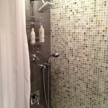 Shower Featuring Porcelain and Glass Mosaic Tile