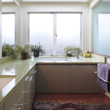 Bathroom with swinging door and reclaimed wood step