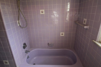 Bathroom - bathroom idea in Detroit with purple walls