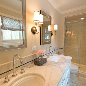 Beautiful Whole House Remodel - Glen Ellyn, IL