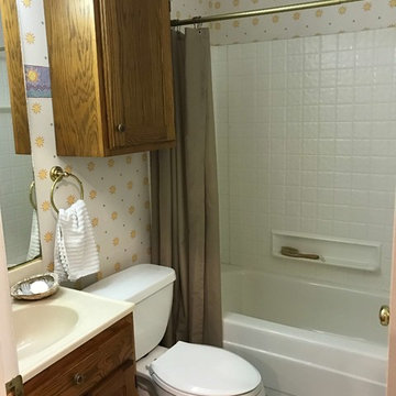 Before: guest bath