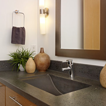 Belgravia Green Net Zero Energy Home