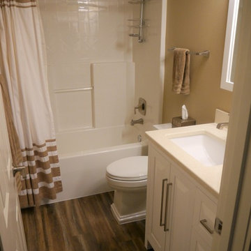Bellevue Guest Bathroom Remodel