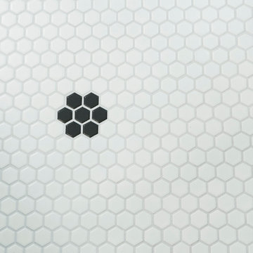 Black penny tile accent in white penny tile floor