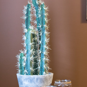 Cactus Planter for Traditional Bathroom