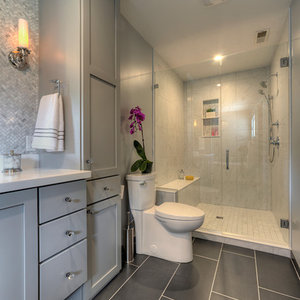 https://www.houzz.com/photos/calm-and-contemporary-master-bath-transitional-bathroom-chicago-phvw-vp~15716152