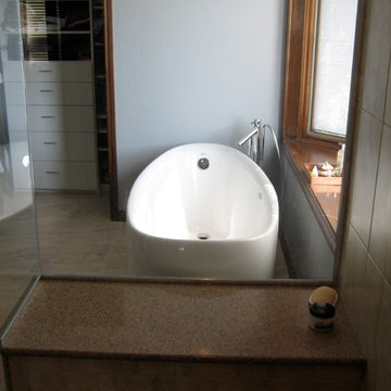 Centennial Master Bathroom Remodel