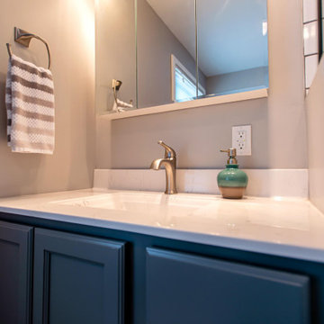 Champaign Bathroom Remodel