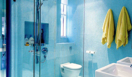 Make Your Bathroom Sing Beautiful Blues