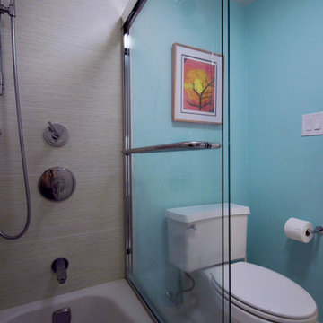 Chestnut Hill Modern Condo Bathroom