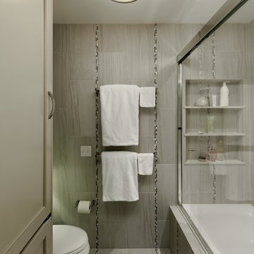 Chevy Chase, Maryland - Transitional - Bathroom