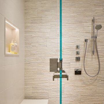 Chicago Lakefront Renovation