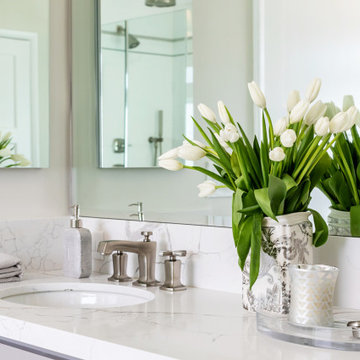 Classic Gray & White Bathroom