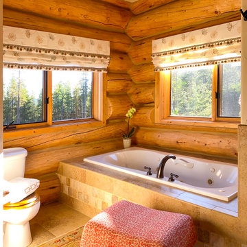 Colorado Log Home