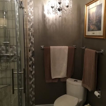 Complete Master Bathroom Redesign