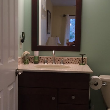 Condo Living Part 2: Guest Bathroom