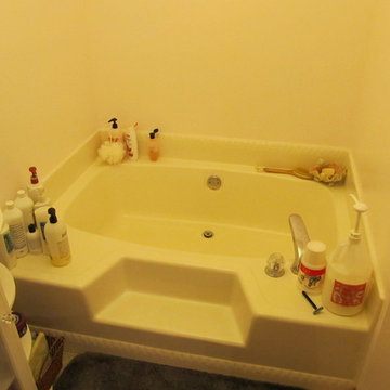 Condo Master Bath Remodel (before)