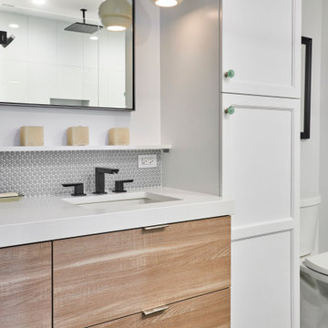 Condo Remodel - Lakeview East, Wrigleyville, Chicago, IL