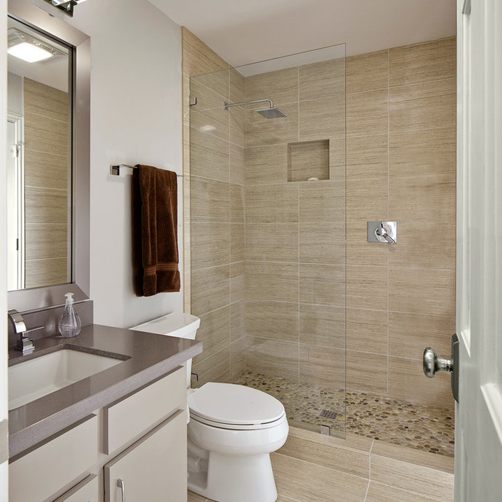 Guest Bathroom Remodel Photos & Ideas Houzz