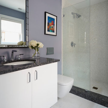 Contemporary Bathroom with Class - Wheaton, IL