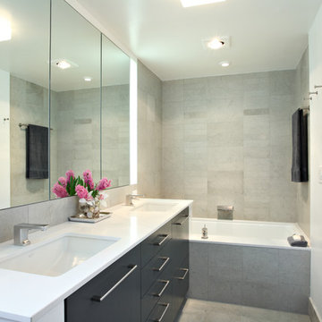 Contemporary Condo Renovation