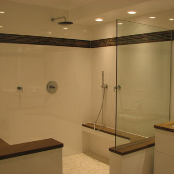 Contemporary Master Bath