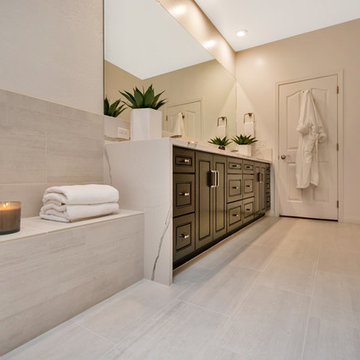 Contemporary Master Bathroom (Gilbert, AZ)