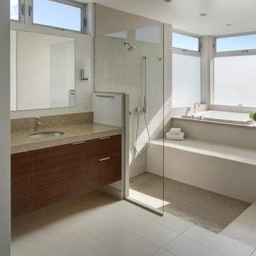 Coronado Tropical Modern