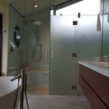 Custom Glass Shower Enclosure/Glass Toilet Room