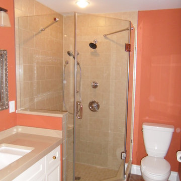 Custom Neo-Angle Shower Door