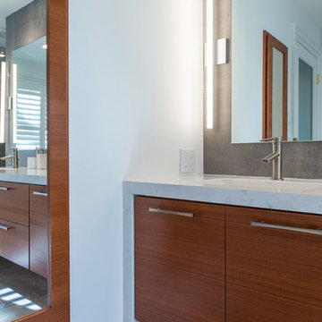 Dated Master Bath Gets a Contemporary Face-lift