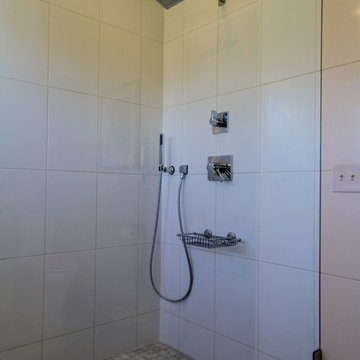 Delta Vero Shower with Diverter and Hand Shower