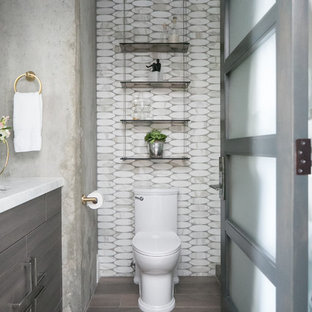 Modelo de cuarto de baño con ducha, urbano, de tamaño medio, sin sin inodoro, con armarios con paneles lisos, puertas de armario grises, sanitario de dos piezas, baldosas y/o azulejos grises, baldosas y/o azulejos de mármol, paredes grises, suelo de baldosas de porcelana, lavabo bajoencimera, encimera de cuarcita, suelo gris y ducha con puerta con bisagras
