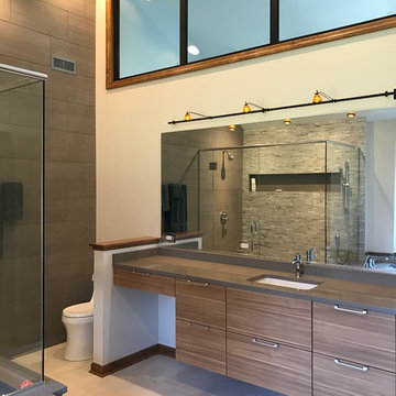 Downers Grove Contemporary Master Suite