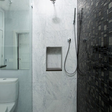 Dupont Circle Master Bathroom