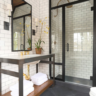Inspiration for a transitional subway tile black floor bathroom remodel in Chicago