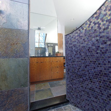 Elkins Park Modern Bathroom