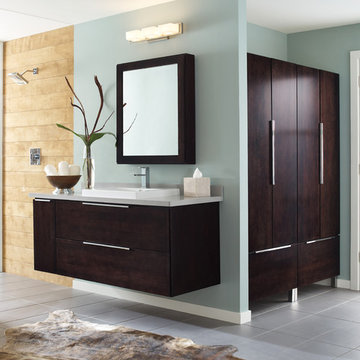 Europe style bathroom with floating, dark wood cabinetry, light wooden paneling